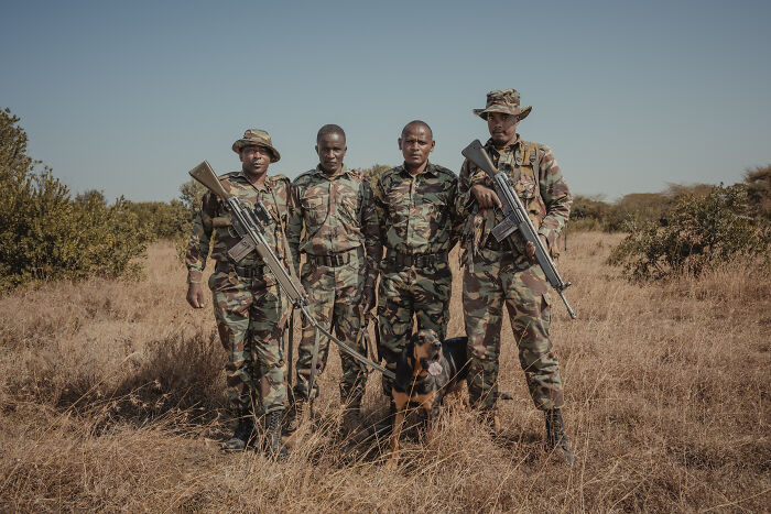 Meet The Last 2 Northern White Rhinos and Their Super Dedicated Squad