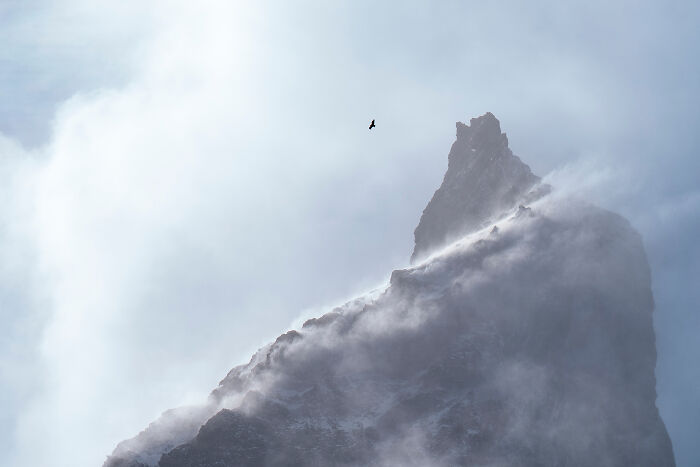 Birds In Landscapes HM 2025: Charlie Sandbo’s Andean Condor