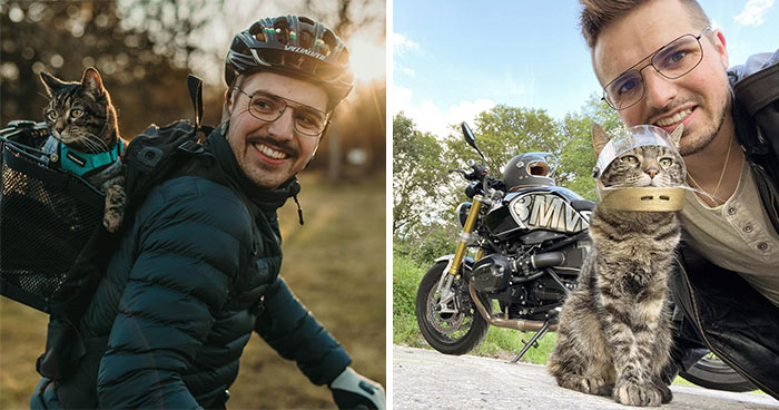 Meet The Cat Who’s Basically A Tiny Adventure Buddy On Wheels (33 Pics)