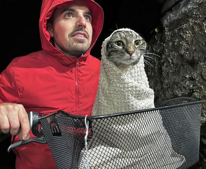 Meet The Cat Who’s Basically A Tiny Adventure Buddy On Wheels (33 Pics)