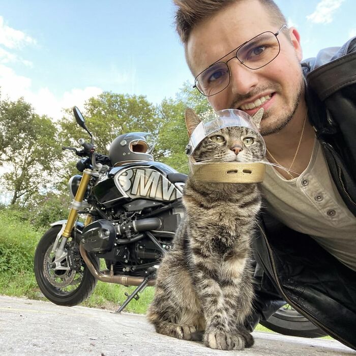 Meet The Cat Who’s Basically A Tiny Adventure Buddy On Wheels (33 Pics)
