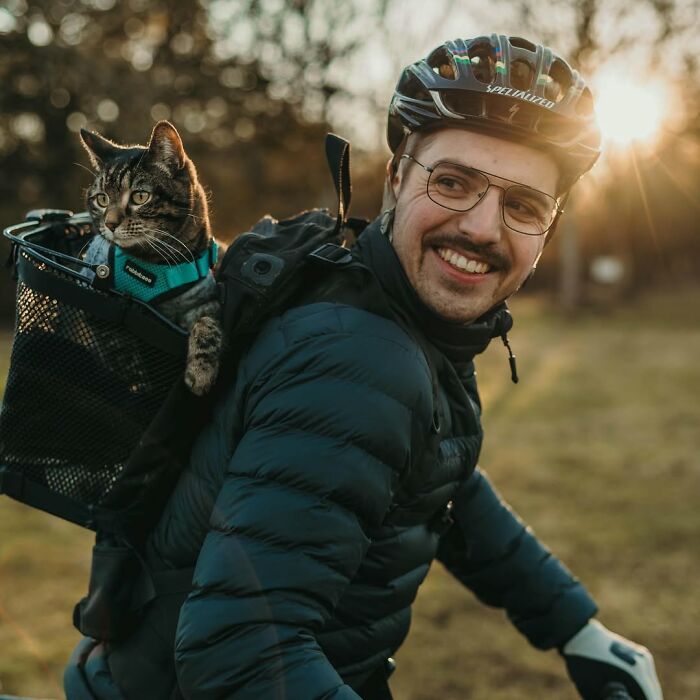 Meet The Cat Who’s Basically A Tiny Adventure Buddy On Wheels (33 Pics)