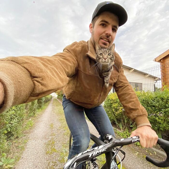 Meet The Cat Who’s Basically A Tiny Adventure Buddy On Wheels (33 Pics)
