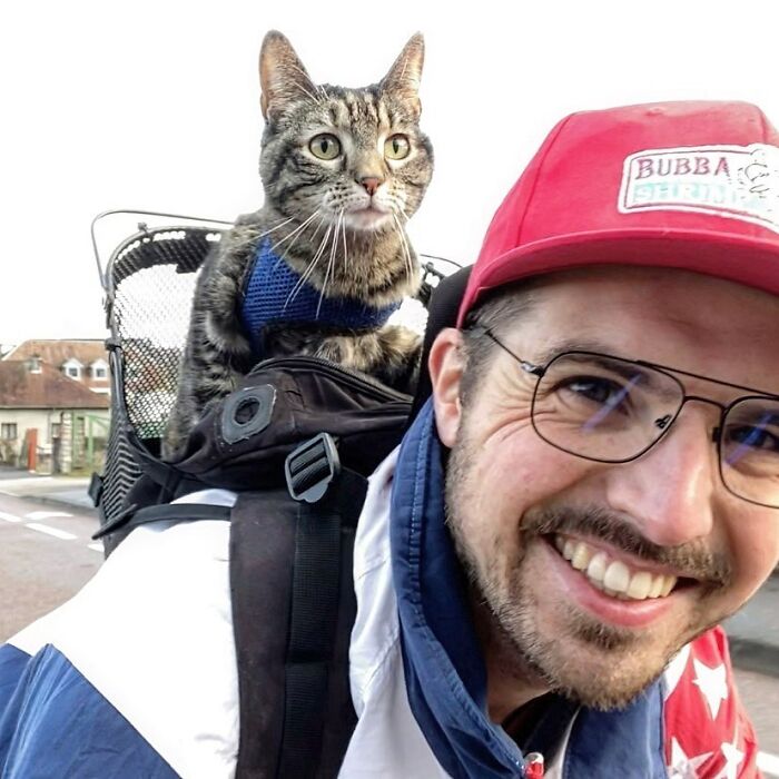 Meet The Cat Who’s Basically A Tiny Adventure Buddy On Wheels (33 Pics)