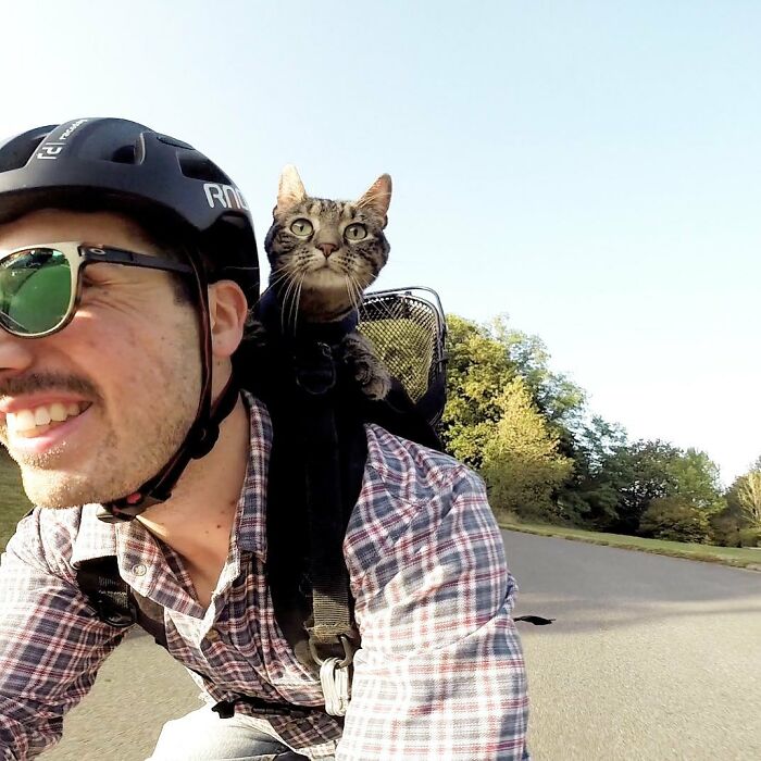 Meet The Cat Who’s Basically A Tiny Adventure Buddy On Wheels (33 Pics)