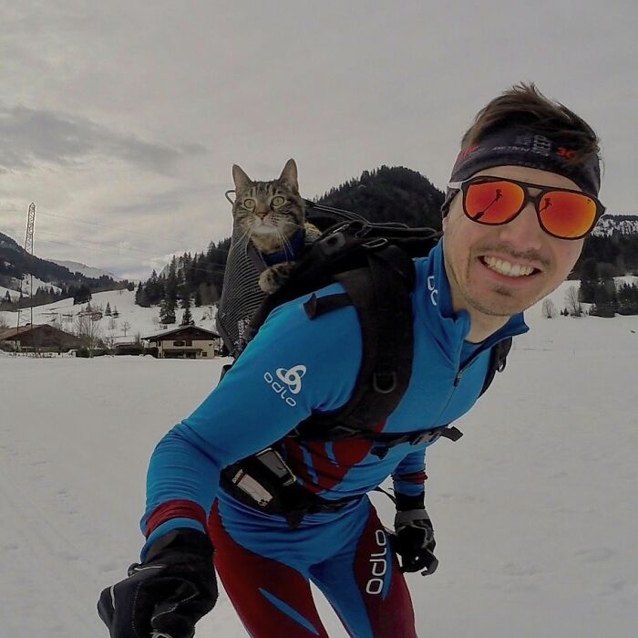 Meet The Cat Who’s Basically A Tiny Adventure Buddy On Wheels (33 Pics)