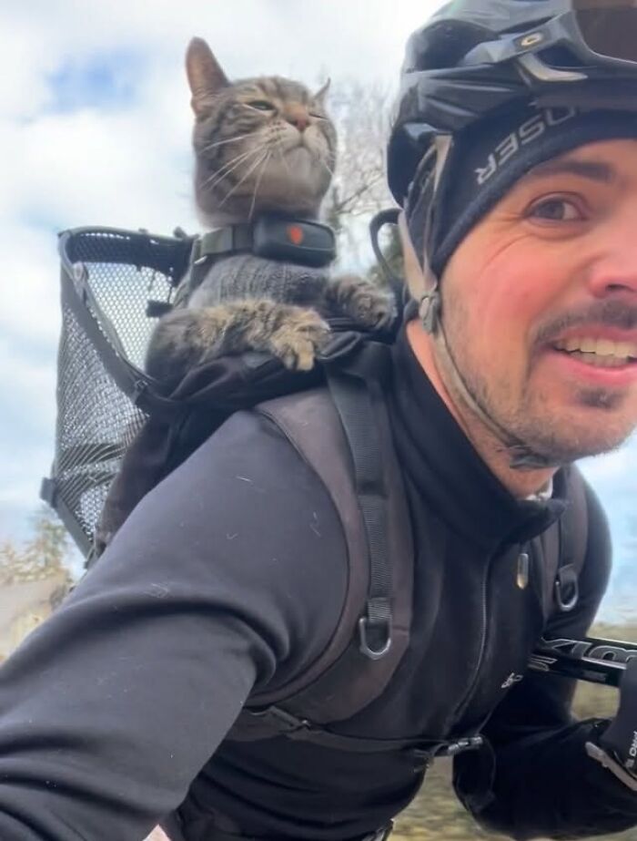 Meet The Cat Who’s Basically A Tiny Adventure Buddy On Wheels (33 Pics)