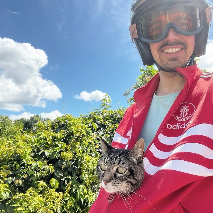 Meet The Cat Who’s Basically A Tiny Adventure Buddy On Wheels (33 Pics)