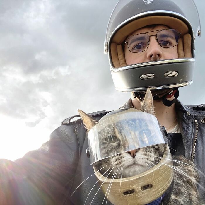 Meet The Cat Who’s Basically A Tiny Adventure Buddy On Wheels (33 Pics)