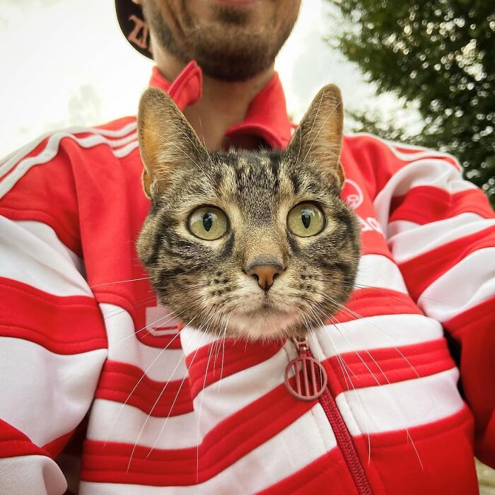 Meet The Cat Who’s Basically A Tiny Adventure Buddy On Wheels (33 Pics)
