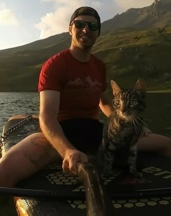 Meet The Cat Who’s Basically A Tiny Adventure Buddy On Wheels (33 Pics)