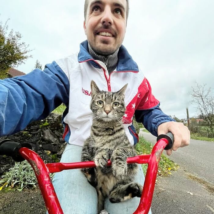 Meet The Cat Who’s Basically A Tiny Adventure Buddy On Wheels (33 Pics)