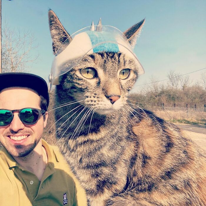 Meet The Cat Who’s Basically A Tiny Adventure Buddy On Wheels (33 Pics)