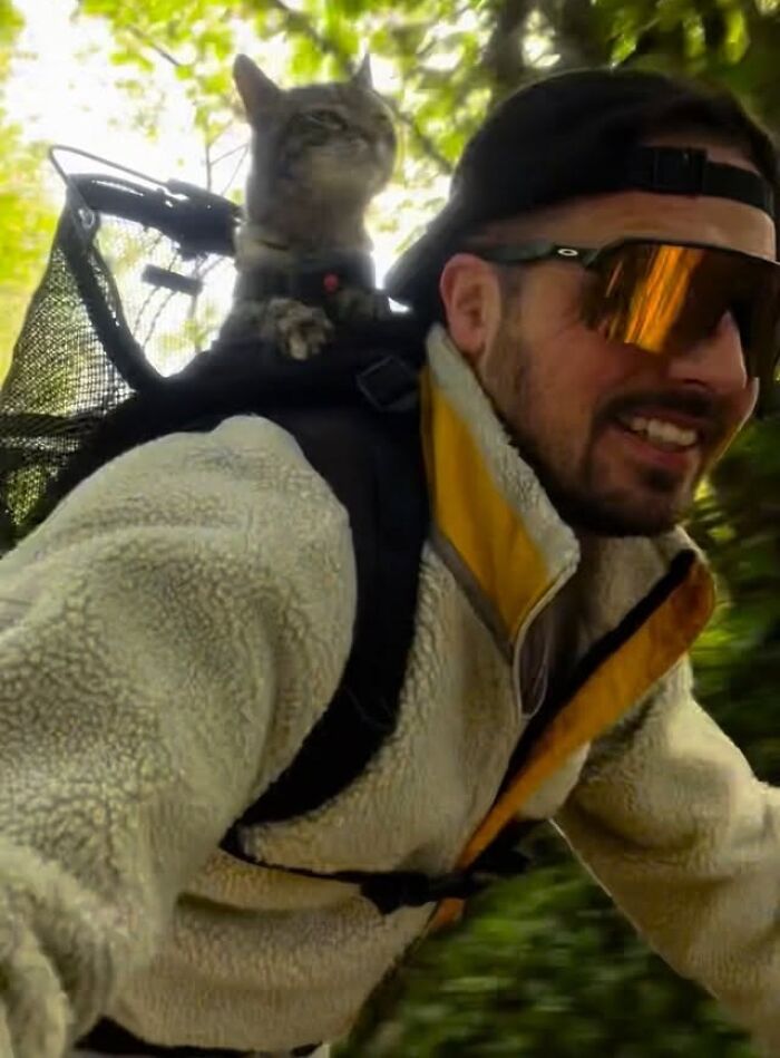 Meet The Cat Who’s Basically A Tiny Adventure Buddy On Wheels (33 Pics)