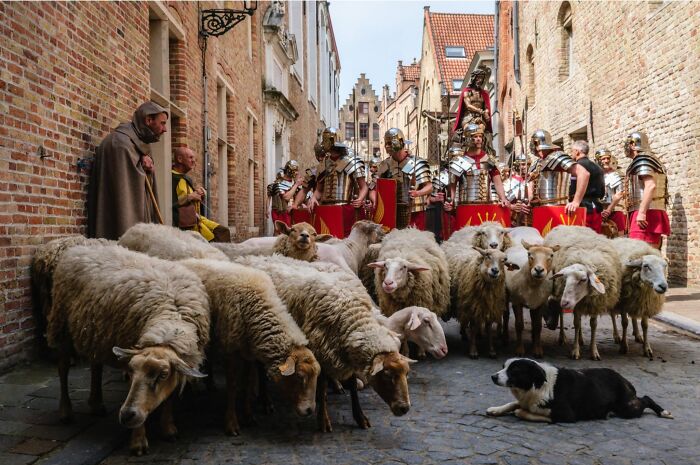 Wait, Animals Totally Crashed These Street Photos!