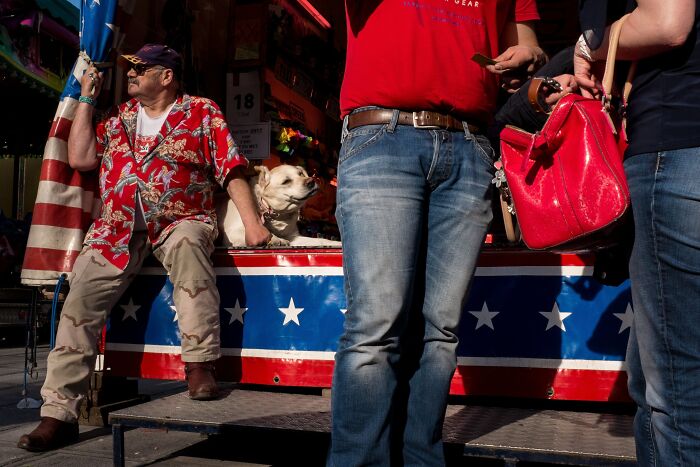 Wait, Animals Totally Crashed These Street Photos!