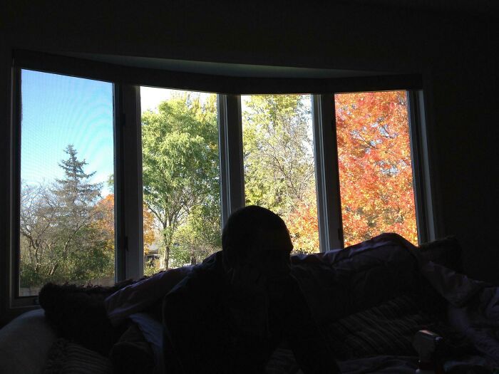 Four Seasons in One Backyard? This Window’s Got It Covered!