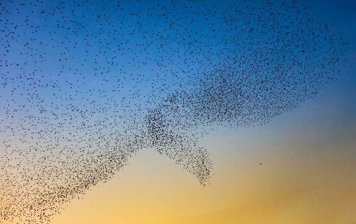 Wait, Did the Universe Just Set Up These Perfect Pics?!