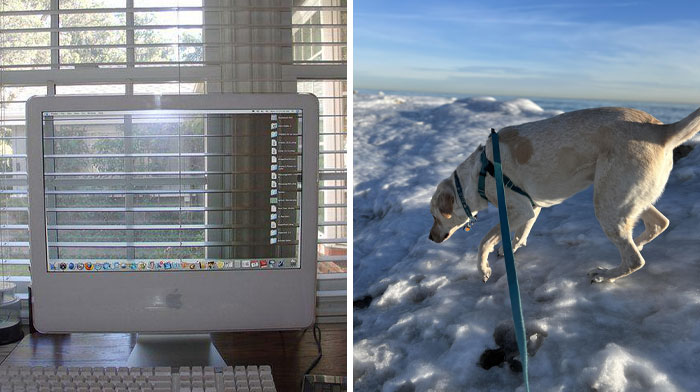 The 118 Most Baffling Pics That’ll Have You Saying, Wait… What?!