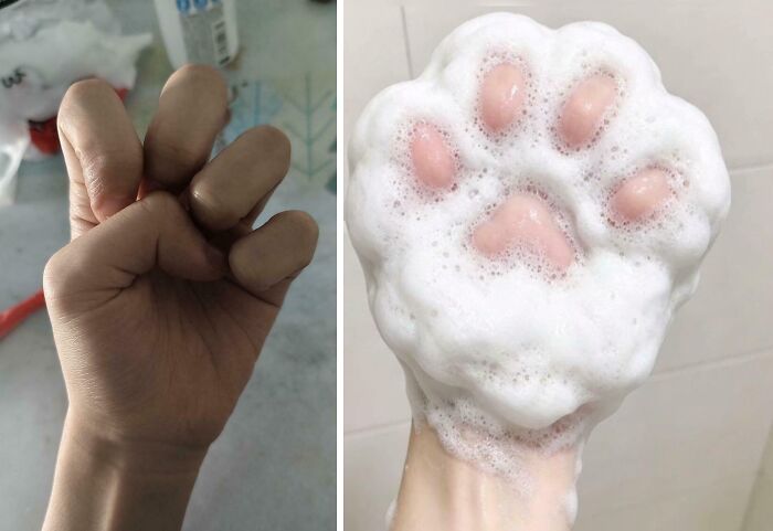 The 118 Most Baffling Pics That’ll Have You Saying, Wait… What?!