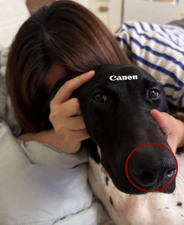 The 118 Most Baffling Pics That’ll Have You Saying, Wait… What?!