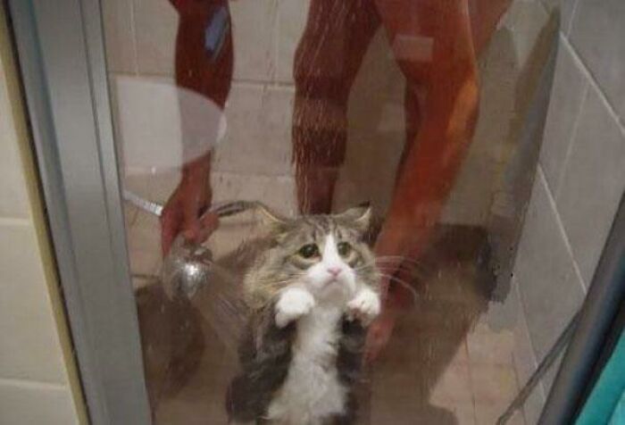The 118 Most Baffling Pics That’ll Have You Saying, Wait… What?!