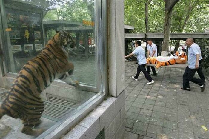 The 118 Most Baffling Pics That’ll Have You Saying, Wait… What?!