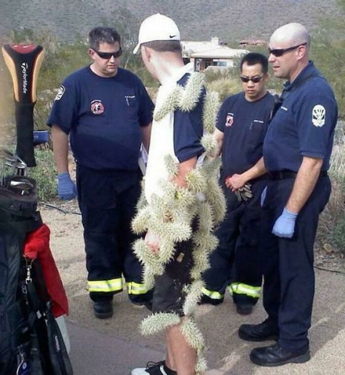 The 118 Most Baffling Pics That’ll Have You Saying, Wait… What?!