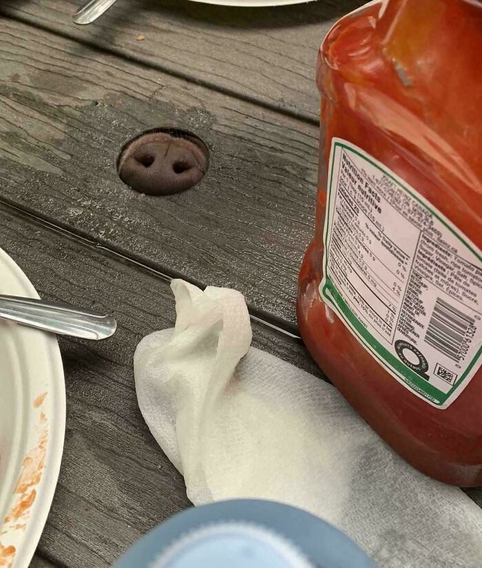 The 118 Most Baffling Pics That’ll Have You Saying, Wait… What?!