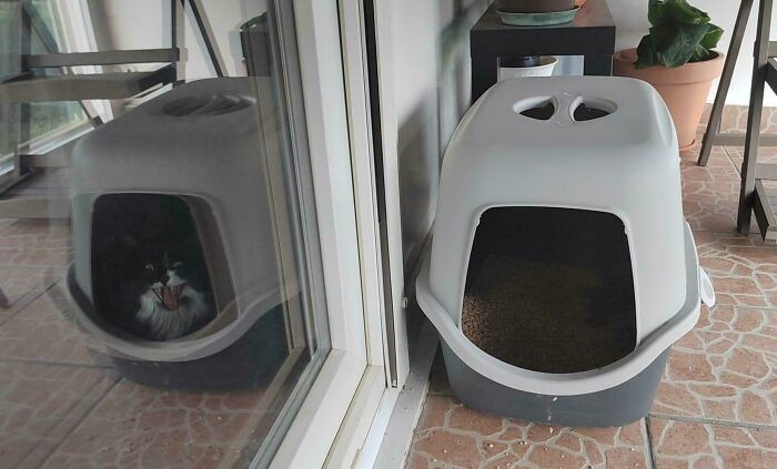 The 118 Most Baffling Pics That’ll Have You Saying, Wait… What?!