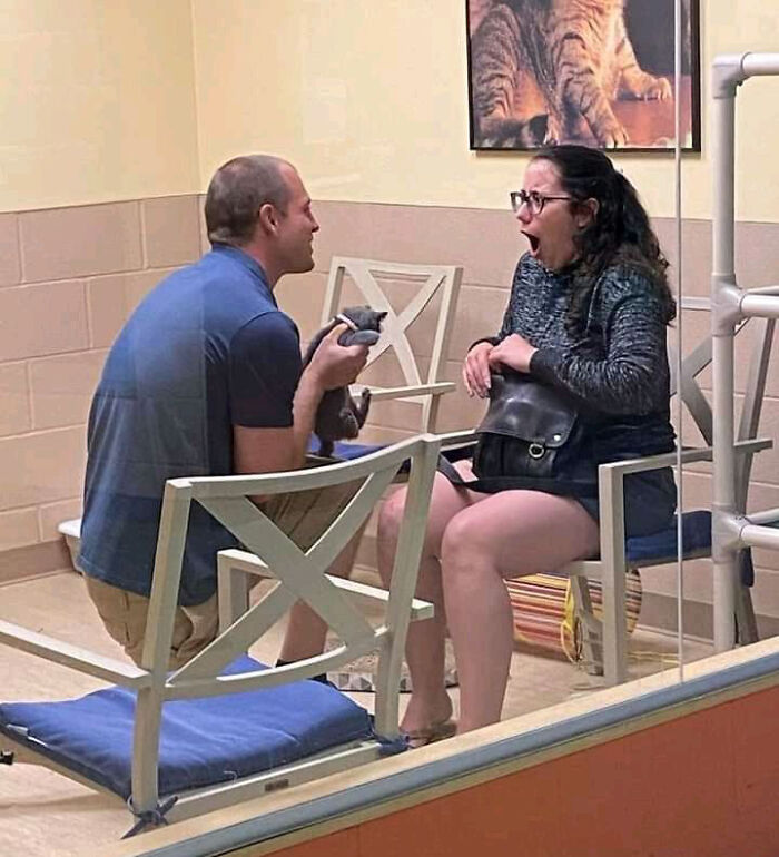 The 118 Most Baffling Pics That’ll Have You Saying, Wait… What?!