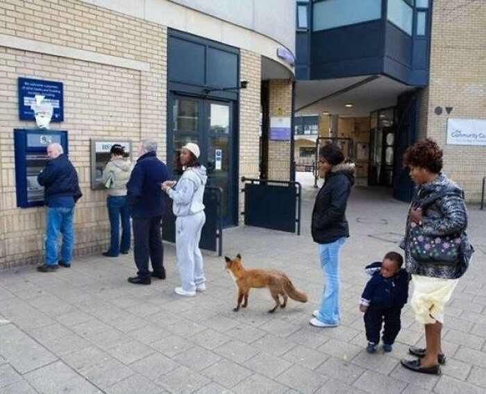 The 118 Most Baffling Pics That’ll Have You Saying, Wait… What?!