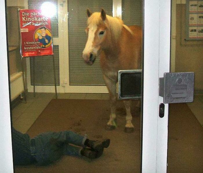 The 118 Most Baffling Pics That’ll Have You Saying, Wait… What?!