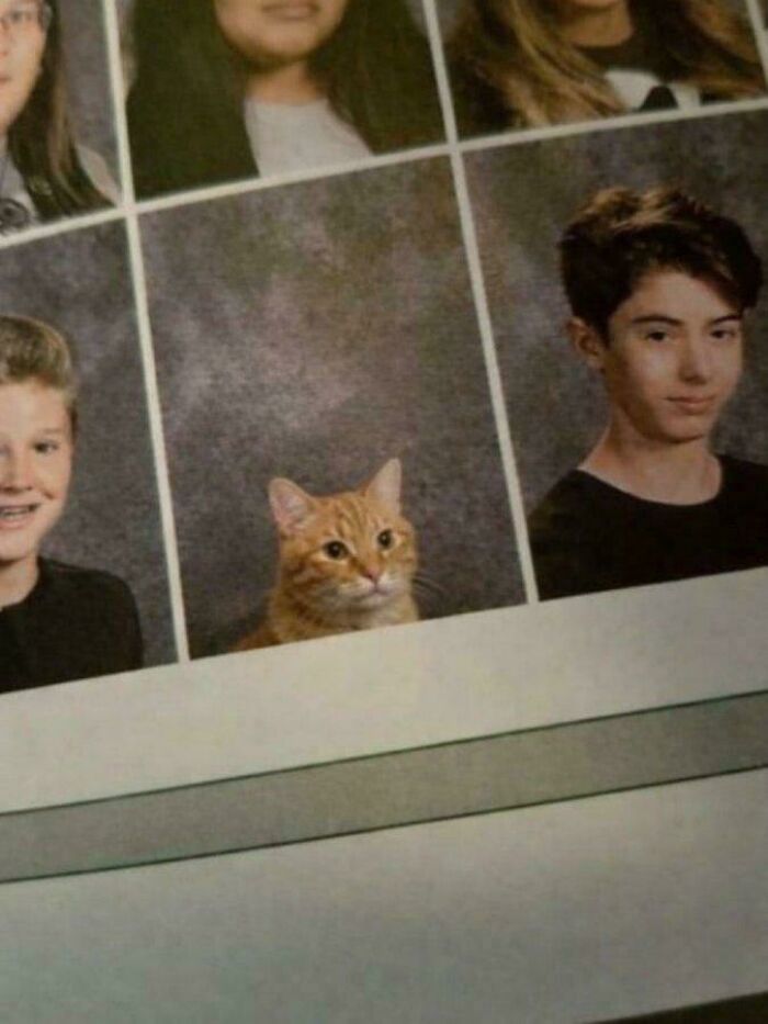 The 118 Most Baffling Pics That’ll Have You Saying, Wait… What?!