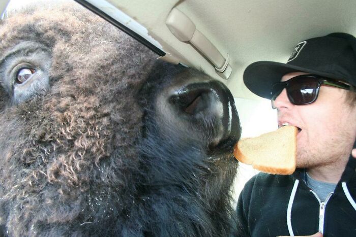The 118 Most Baffling Pics That’ll Have You Saying, Wait… What?!