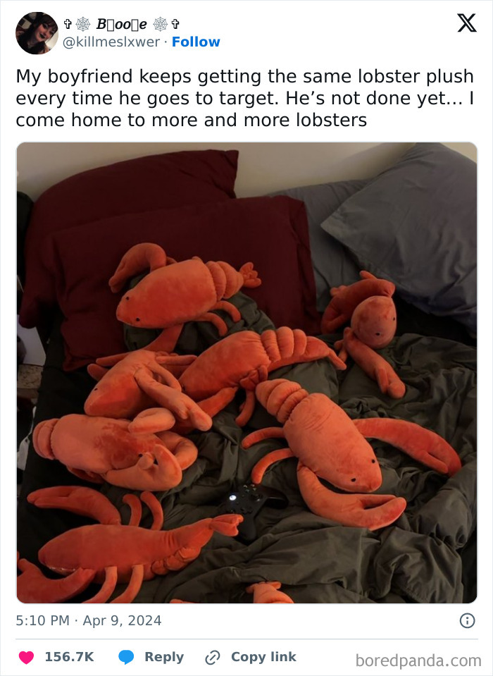 The 118 Most Baffling Pics That’ll Have You Saying, Wait… What?!