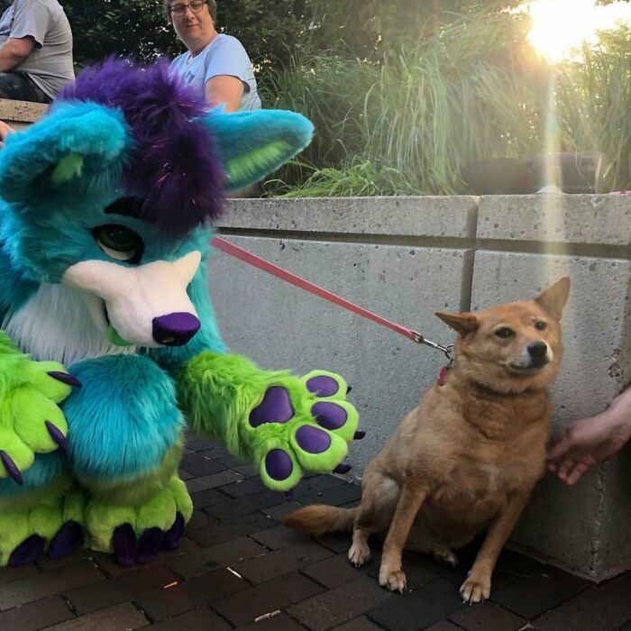 The 118 Most Baffling Pics That’ll Have You Saying, Wait… What?!