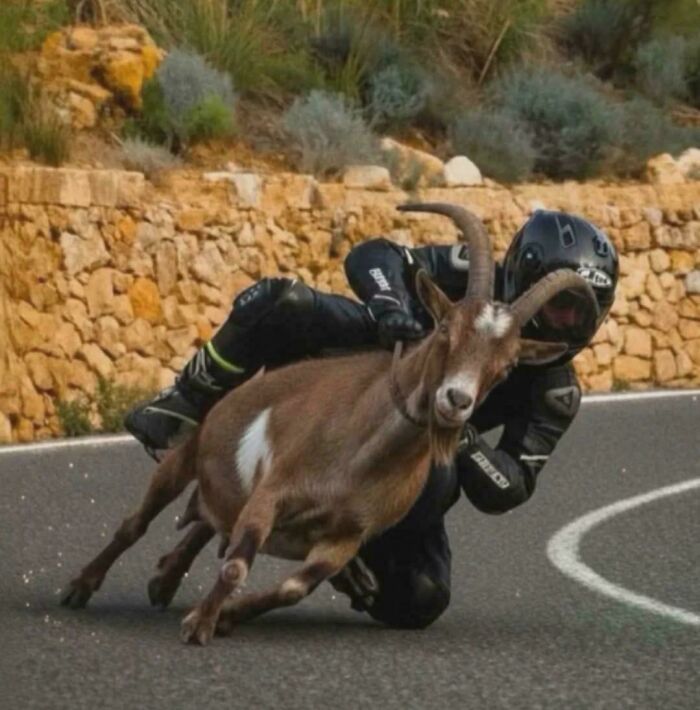 The 118 Most Baffling Pics That’ll Have You Saying, Wait… What?!