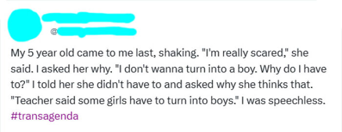 Wait, They Actually Said That?! The 50 Funniest Online Fibbers Caught Red-Handed