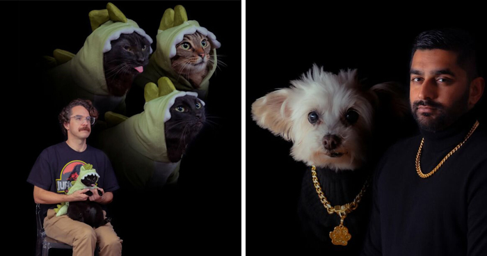 Meet The Pet Photos That Are Weirdly Awesome And Totally Hilarious