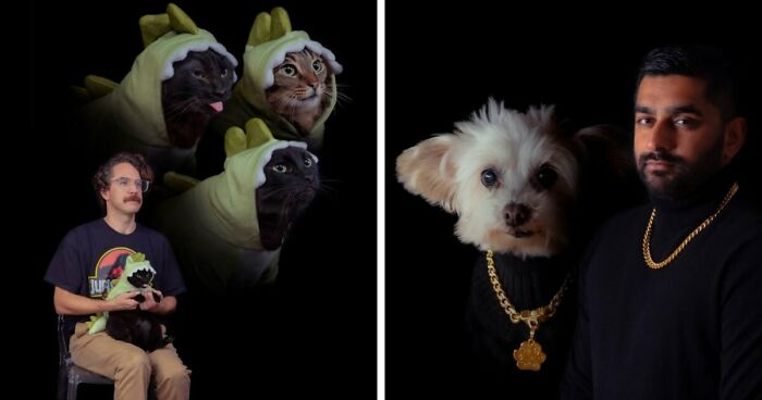 Weirdly awesome and totally hilarious pet photos featuring cats in costumes and a dog with a gold chain portrait.