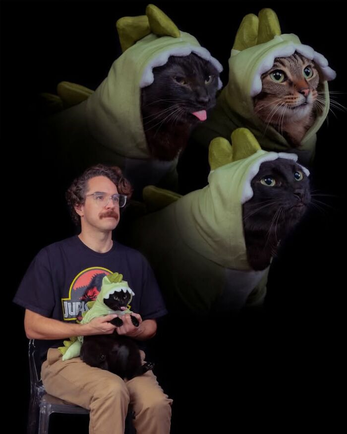 Meet The Pet Photos That Are Weirdly Awesome And Totally Hilarious
