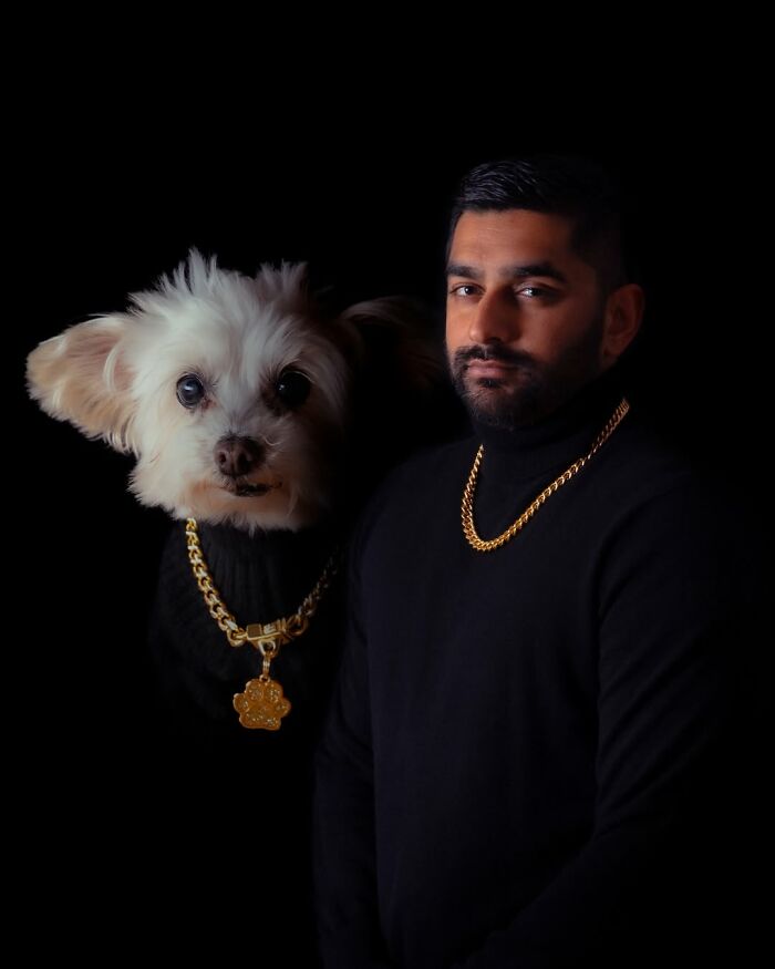 Meet The Pet Photos That Are Weirdly Awesome And Totally Hilarious