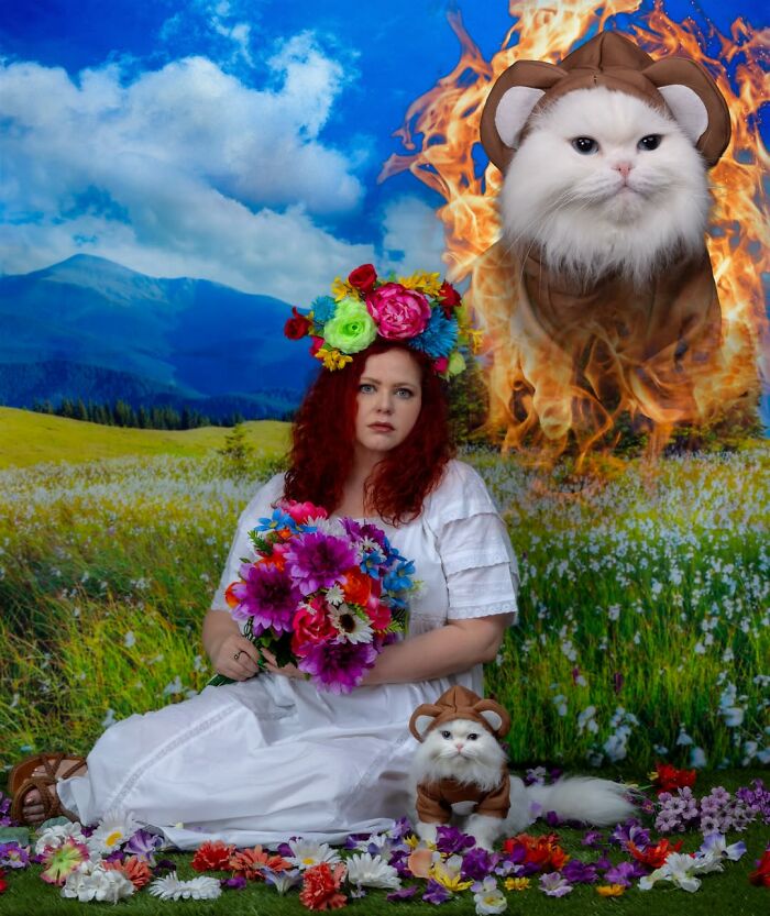 Meet The Pet Photos That Are Weirdly Awesome And Totally Hilarious