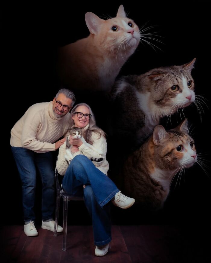 Meet The Pet Photos That Are Weirdly Awesome And Totally Hilarious