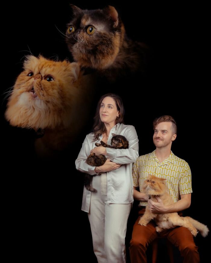 Meet The Pet Photos That Are Weirdly Awesome And Totally Hilarious
