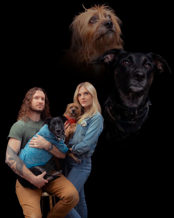 Meet The Pet Photos That Are Weirdly Awesome And Totally Hilarious