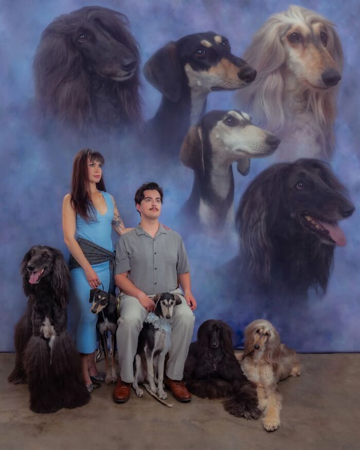 Meet The Pet Photos That Are Weirdly Awesome And Totally Hilarious