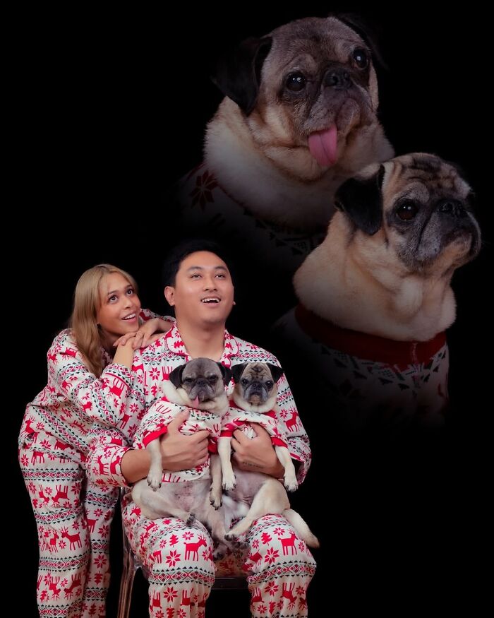 Meet The Pet Photos That Are Weirdly Awesome And Totally Hilarious
