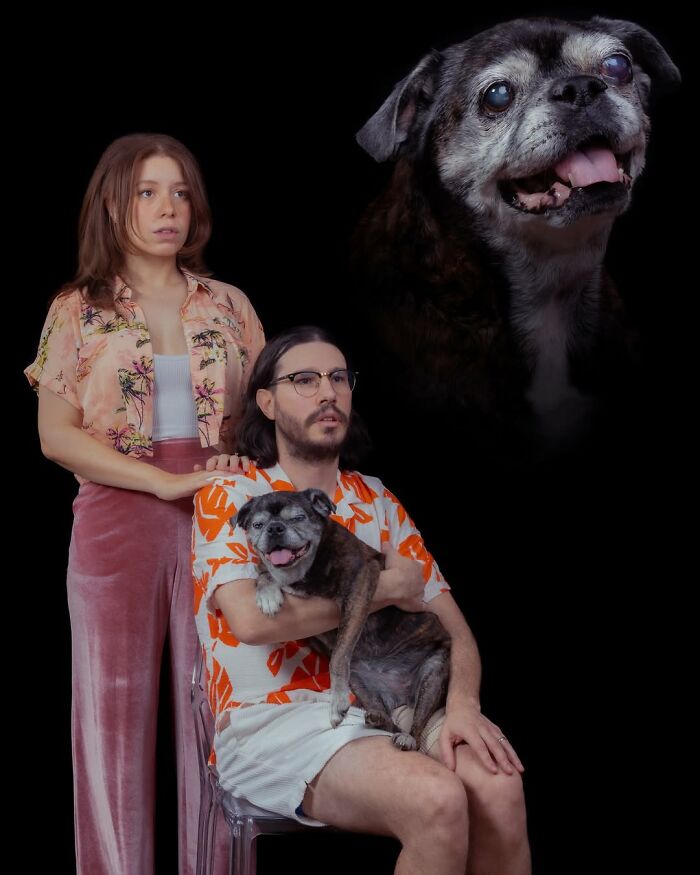 Meet The Pet Photos That Are Weirdly Awesome And Totally Hilarious